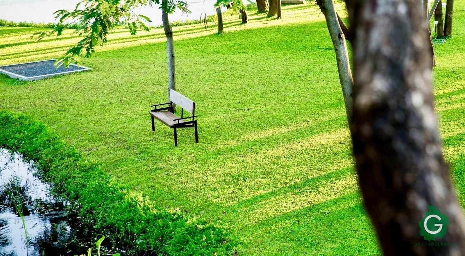 สวนสีเขียวและต้นจามจุรีของ Green@Buriram Hotel